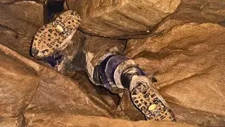 Ele entrou na Caverna e NUNCA mais saiu!