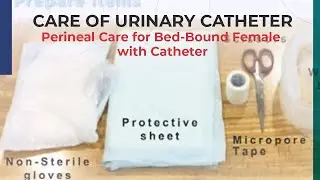 Care of Urinary Catheter - Perineal Care for Bed-Bound Female with Catheter