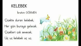 Kelebek Şarkısı