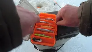 HANDS LIKE A PEG. FISHING FOR PIKE-PERCH IN 30-DEGREES COLD