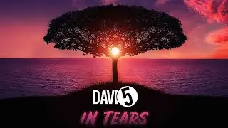 Davi5 - In Tears (Official Video)