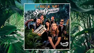 Swingrowers - Is It Really Me... Or Not? (Audio) 2024 #electroswing