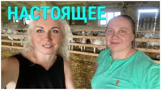 Сельское хозяйство и пальма🦠