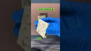 Infused FireCracker 