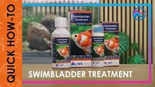 Swimbladder | Quick How-To