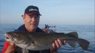 Pêche en mer du nord Vissen op kabeljauw