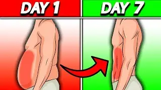 Science Says! 7 Days Workout For BURNING Stubborn Belly