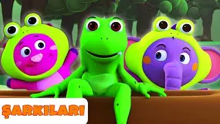 5 Küçük Kurbağa 🐸 Hayvan Şarkıları ve Kafiyeleri | ABC Turkish