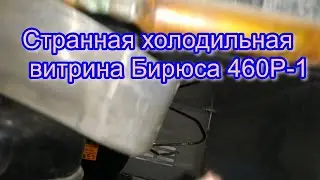 Странная холодильная витрина Бирюса 460Р 1
