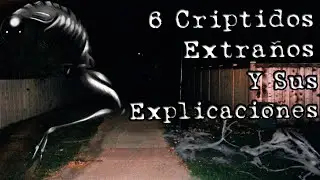6 Criptidos Extraños (Y Sus Explicaciones) - Criptozoologia #7