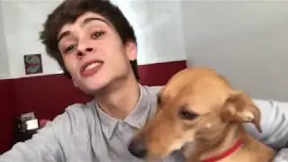 TENHO UMA CADELA