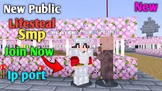 Join Best Free Public Lifesteal SMP Server For Minecraft 🍄 | Java/Mcpe | 24/7 Online |  🌲