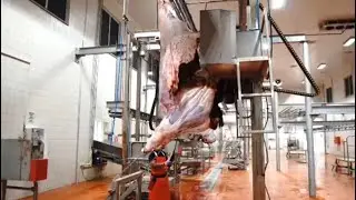 Slaughterhouse and Meat Processing Factory.