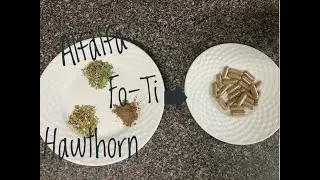 Encapsulating Herbs using The Capsule Machine