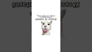 A day in the life of Only