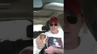 Анекдот. Превратится...