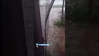 Град в Волгоградской области