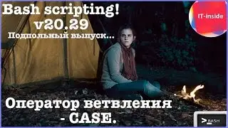 Bash скрипты 29. Оператор ветвления – CASE.