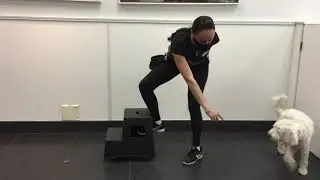 TPSC Daycare PP - Chidi Step-Up