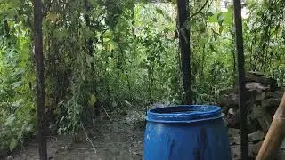 প্রকৃতি ও গ্রামের আষাঢ় মাসের বৃষ্টির রিমঝিম শব্দ।