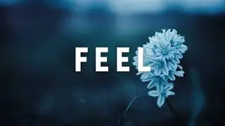 Marsh - Hraach - Tim Green - Kiasmos - Chris Luno • Feel (Zahand Mix)