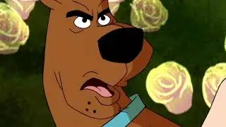 shaggy, are you cheeting on me?