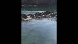 Beautiful blue river 🏞