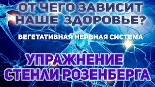 Как улучшить подвижность шеи и наладить кровообращение