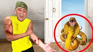 A Snake ATTACKED Me!