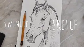 5 minute sketch - horse portrait - real time, ASMR