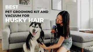 Best Vacuum For Husky Hair, Dyson Pet Grooming Kit | How to Use Pet Grooming Kit,  Dyson v15 Detect