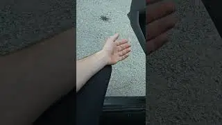 погода в Геленджике  8декабря 8 утра