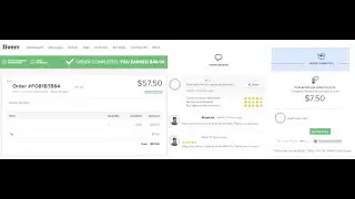 Fiverr Live Project- Complete website responsive fix by css