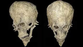Los CRÁNEOS Y ESQUELETOS Más Extraños Jamás Encontrados