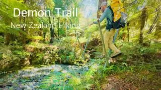Hiking the Demon Trail | Hollyford Track Day 2 | Lake Alabaster to McKerrow Island Hut