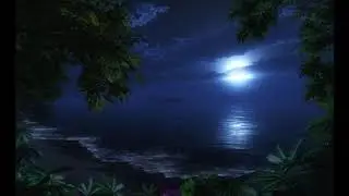 Moon Light