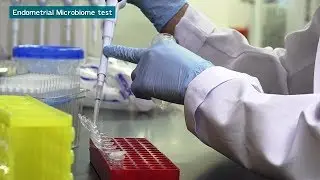 Endometrial Microbiome test