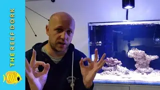 Aqua One Mini Reef 120 Update #1 - Setting Up