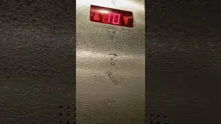 пражская 9