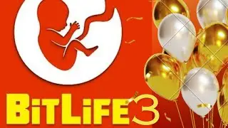 Team Dgang's Bitlife 3