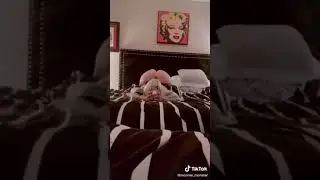 Bugs Bunny New TikTok Challenge 