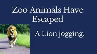 Hello! Zoo Animals Have Escaped!  
