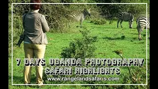WHAT TO SEE  ON A UGANDA WILDLIFE SAFARI?