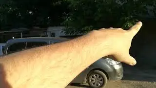 5 августа 2020 г.