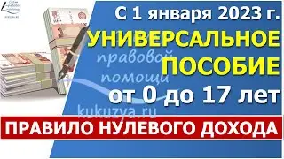 Универсальное пособие и «правило нулевого дохода»