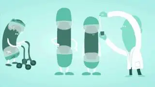 Hoe lang zijn jouw telomeren?