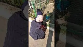 Абдулло