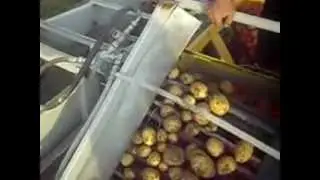 Т-25 с самодельным картофелеуборочным комбаинам