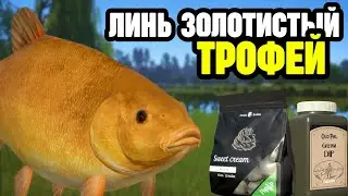🟡 РР4┃🔥 ТРОФЕЙ - ЛИНЬ ЗОЛОТИСТЫЙ┃📢 05.04.2024┃maXS1k