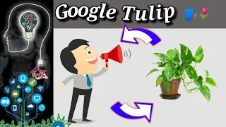 Human to Plant Communicate | google tulip | vasof chennal |